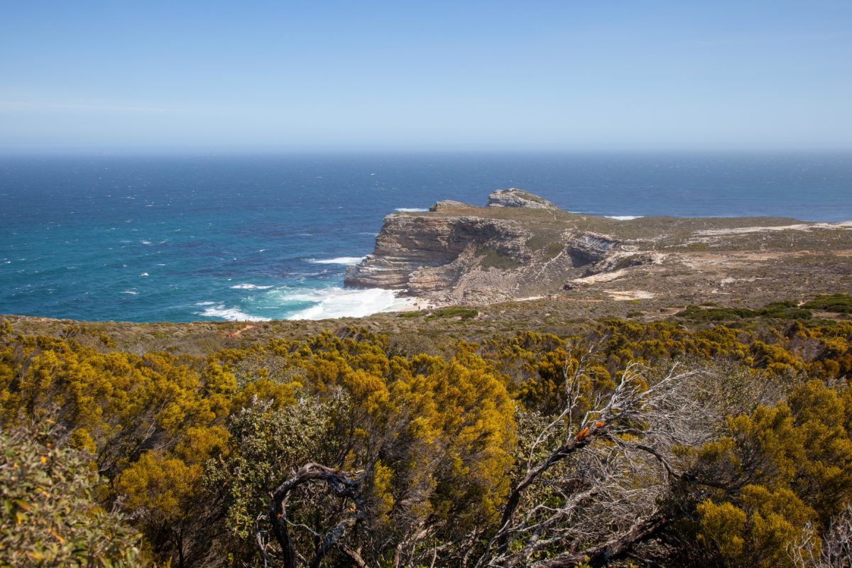Permalink to Südafrika und Botswana geplant vom 14.03.20 bis 05.04.20